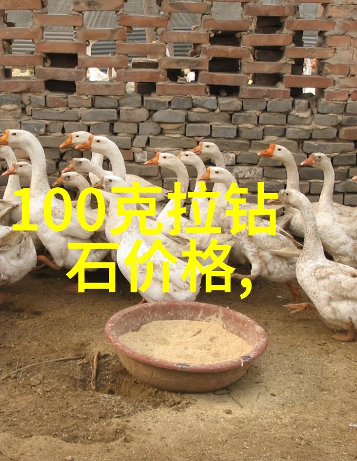 工艺标准-精益求精解析工艺标准的重要性与制定方法
