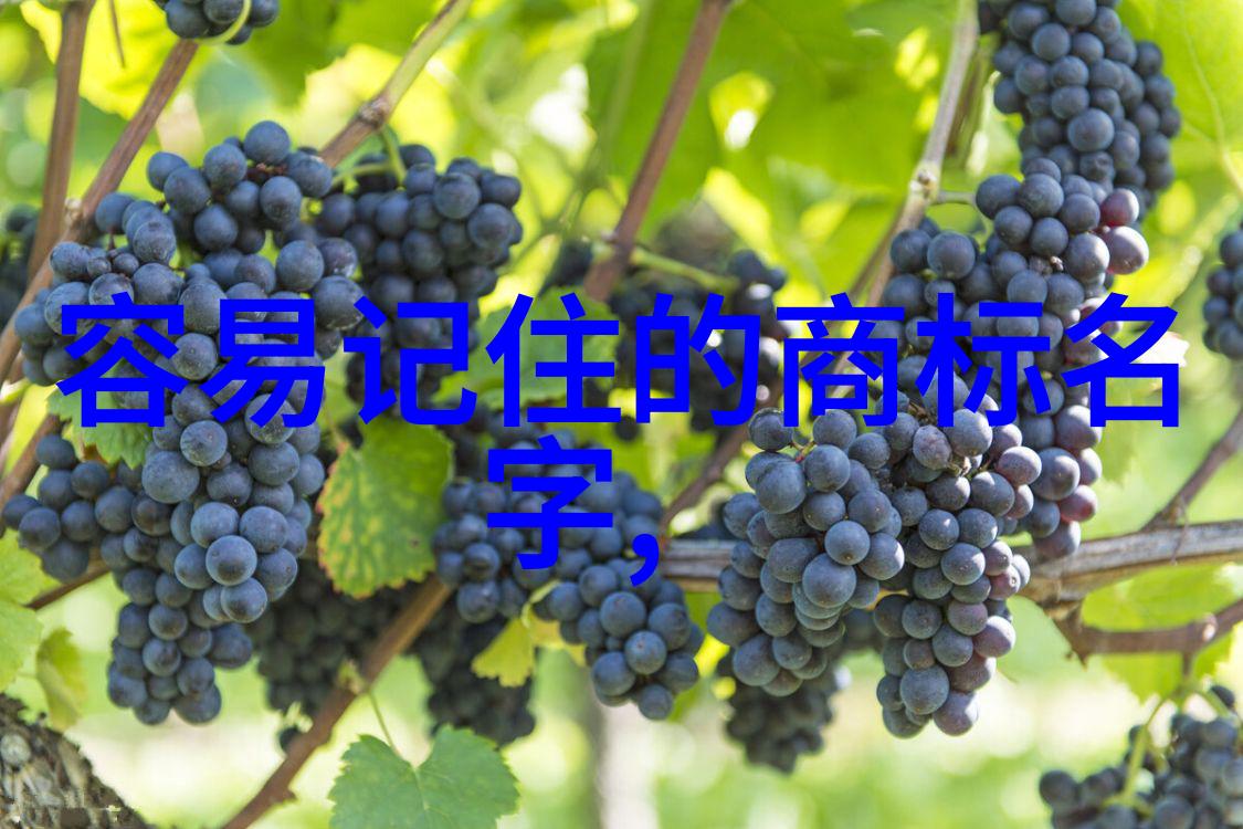 沉香豌的迷人魅力与烹饪妙用