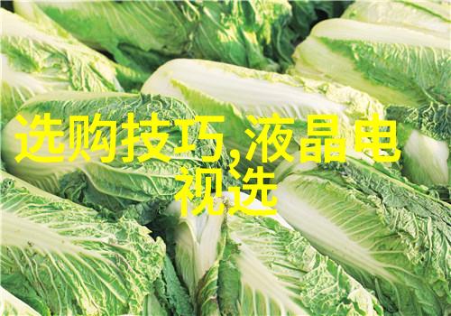 廉洁文化进校园传承纯正风尚的教育实践