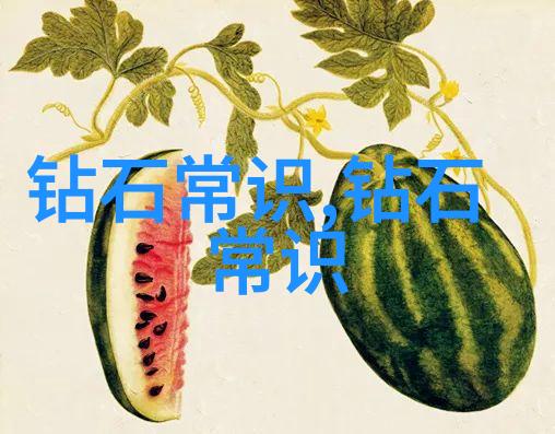 探索中华大地解读中国文化的丰富面纱
