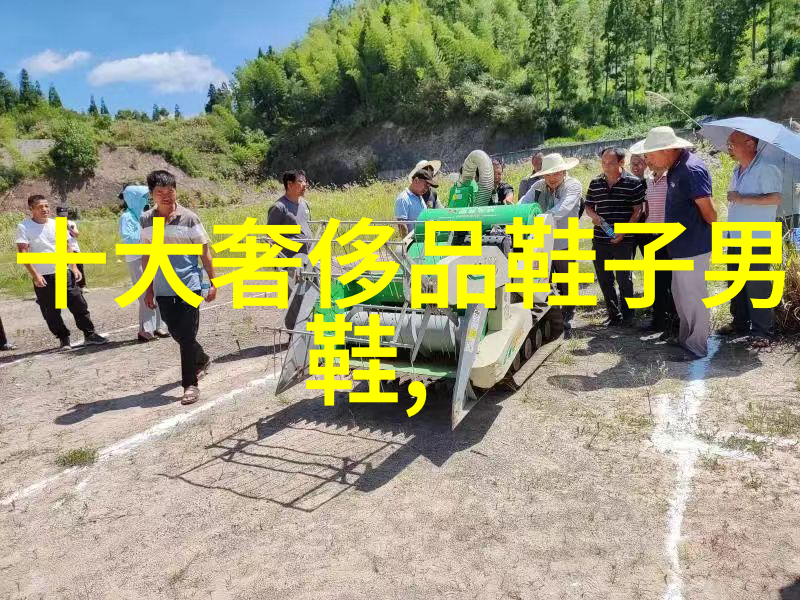艺术家在家自制铁艺摆件的魅力与技巧