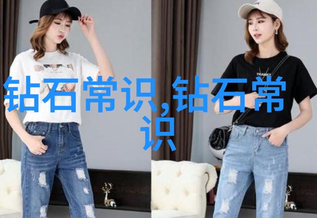 时光机器的小偷猫穿越历史的冒险篇章