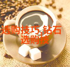 传承文化开启对话探索对外汉语专业的魅力与挑战