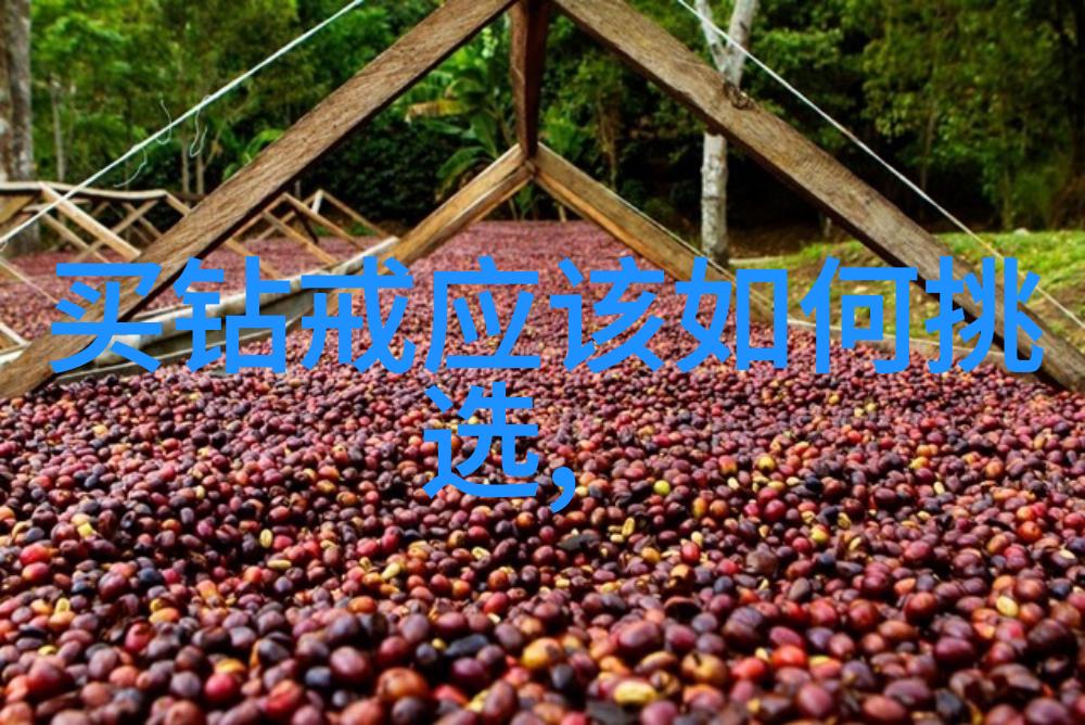 中医药文化传统医学在当代社会中的应用与挑战