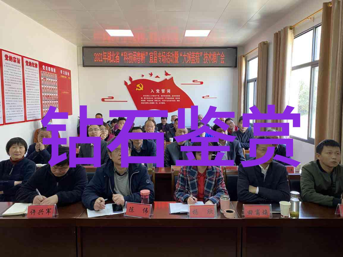 文化的丰富内涵探索传统艺术信仰与价值观