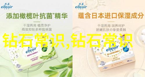 三维建模 - 虚拟现实的精细艺术探索三维建模的奥秘