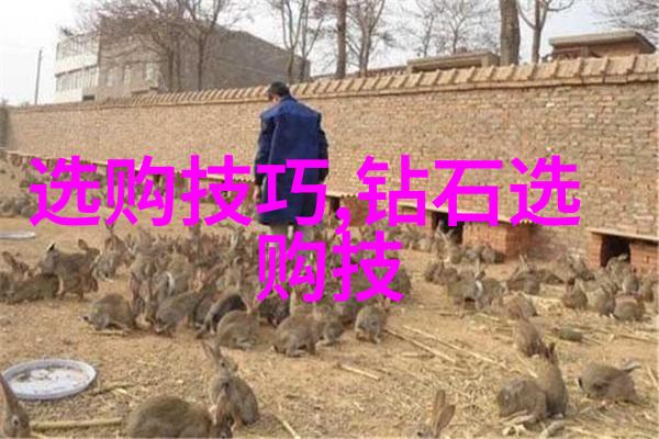 宝妈们的后门解决之道创意与智慧的集合