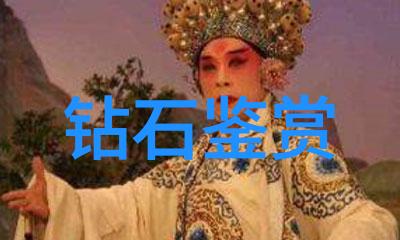 镜头指挥家探索电影导演的艺术与智慧