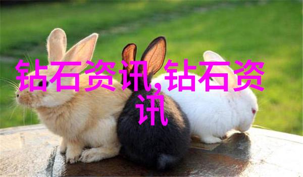 宝石项链我家的那串闪耀的秘密