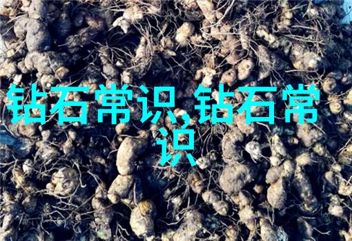 中国的文化东方古韵与现代匆忙