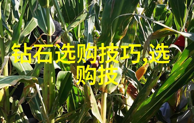 宝石镶嵌技巧材料选择与设计应用