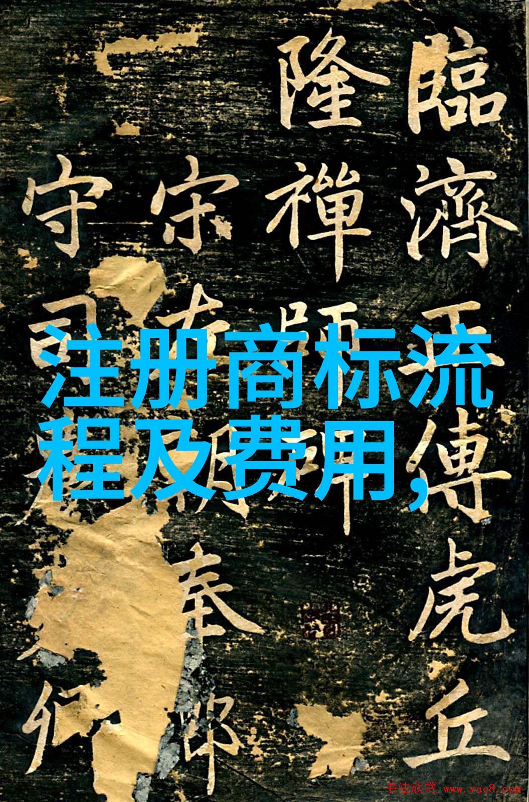 国家珠宝鉴定师怎么考 - 珠光璀璨的专业之路如何成为一名认证的鉴定师