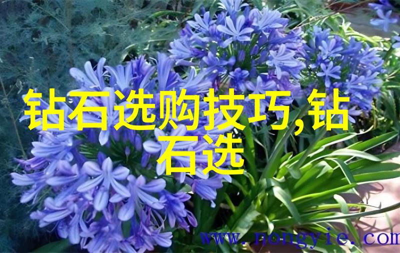 中国传统文化深度探究古代礼仪制度与现代社会融合