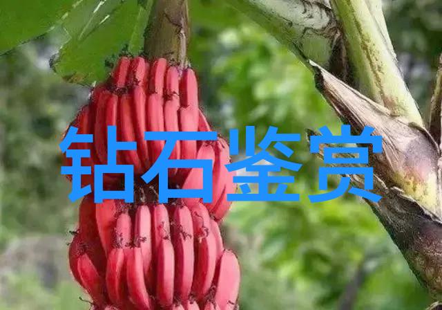 中华传统文化素材中国古代艺术与民俗