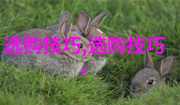 三个人每人C我半小时的视频我被三个好友轮流秀肌肉了半个小时