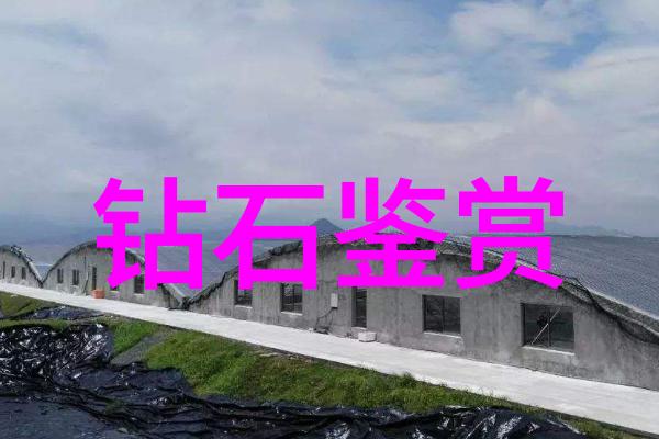 工艺制作的艺术旅程从创意到完美