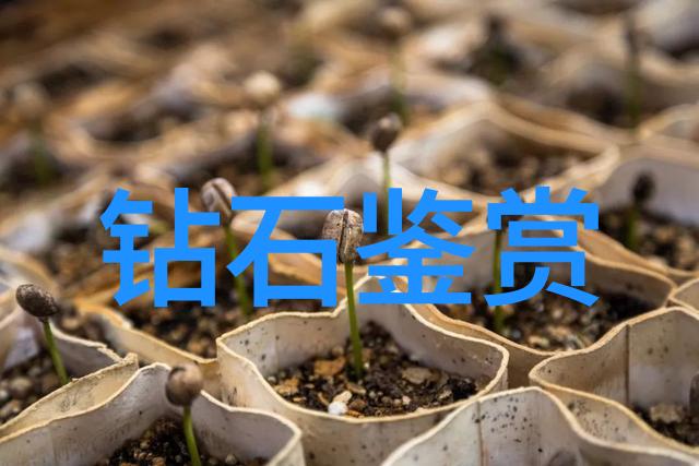 翡翠梦华宝石的古老传说与现代魅力