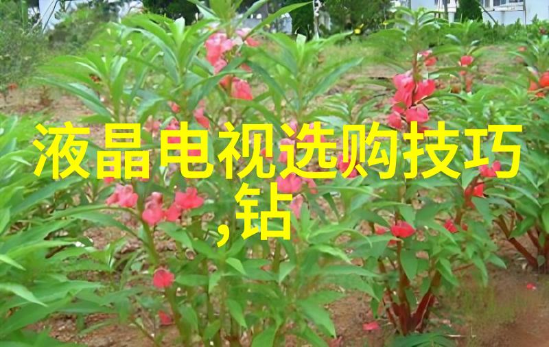 文明与文化的界定与区别