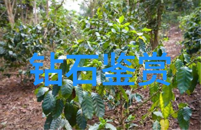 玉石保养-精彩揭秘如何正确保养您的玉石饰品