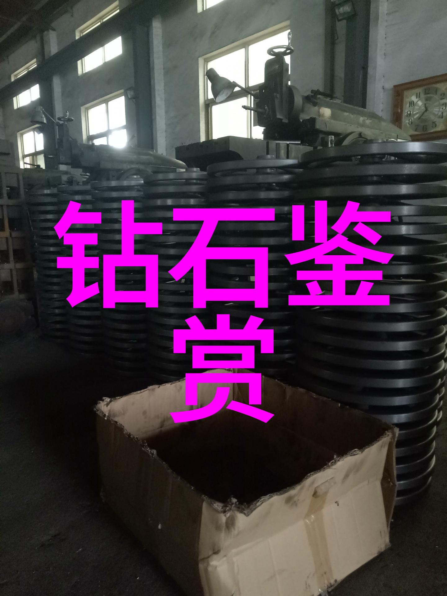 电视节目的灵魂人物揭秘一名成功导播背后的故事