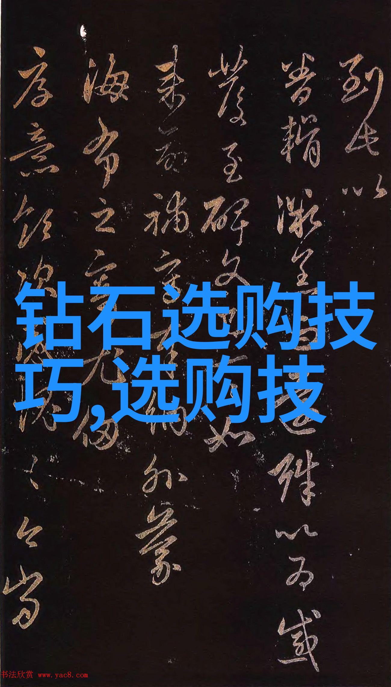 商务管理策略高效的商业运营规划