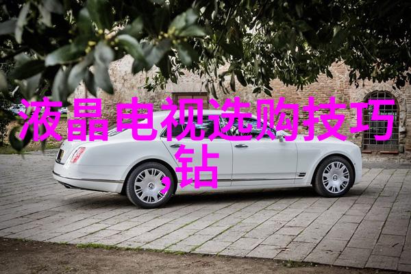 审计专业-精确剖析现代企业审计实务与技术进步