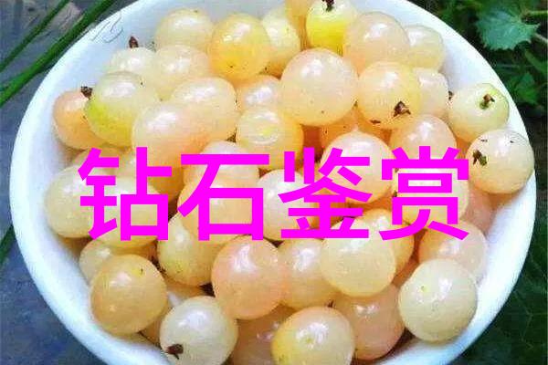 玉中岫玉剖析一种特殊的宝石类型