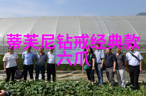 五千年辉煌四海同春中国传统文化十大魅力简介