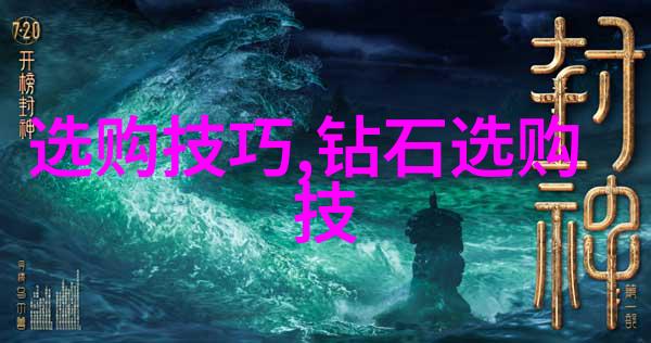 镜头前的人生导播的故事与挑战