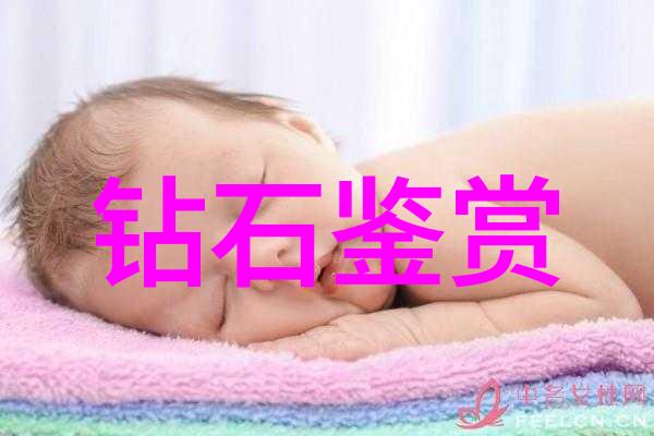 学科分类-剖析学科体系从分类到整合的知识架构