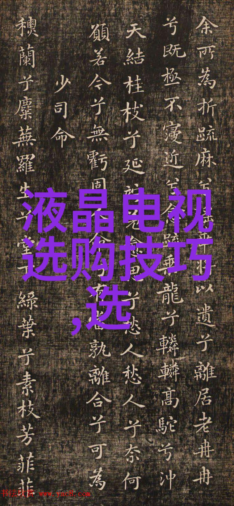 东方与西方文化之桥梁与差异