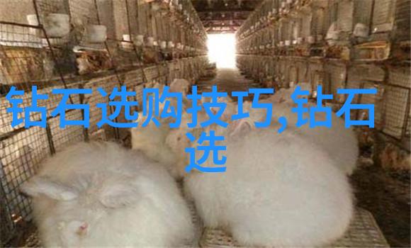 花开宠樱无弹窗全文阅读之旅