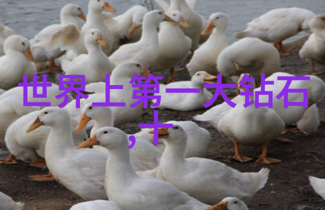 帝王绿时尚风采优雅的女性魅力