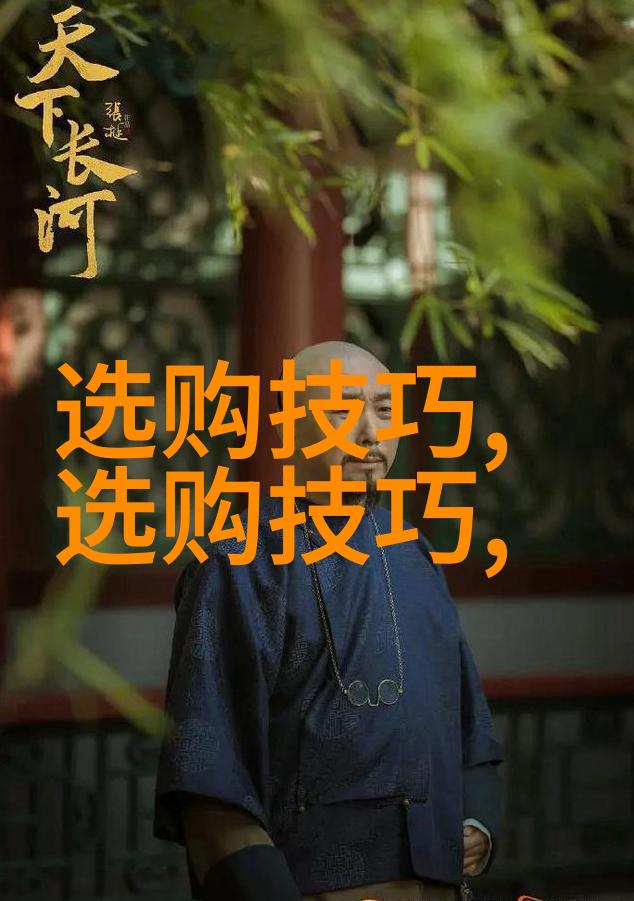 我来告诉你探索中国文化从龙舞到春晚的故事