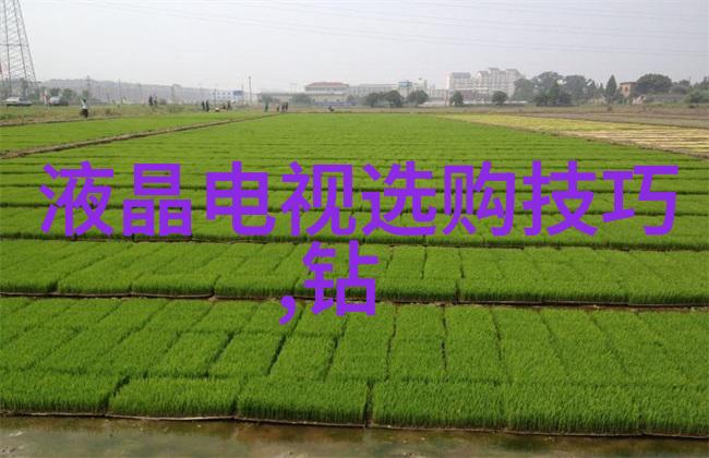 审计之眼透视财海深渊