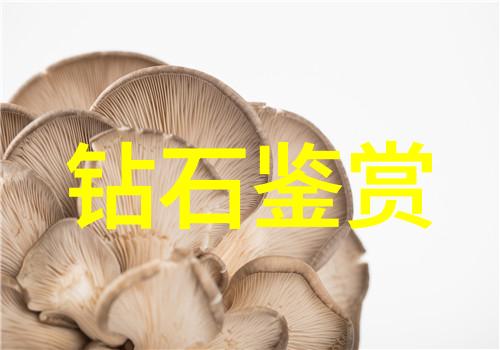 43417大但人文艺术图片-探索数字巨石的文化艺术边界