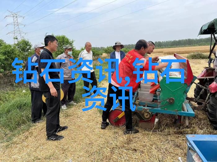 世界珠宝排行-全球璀璨揭秘最值得收藏的钻石与宝石