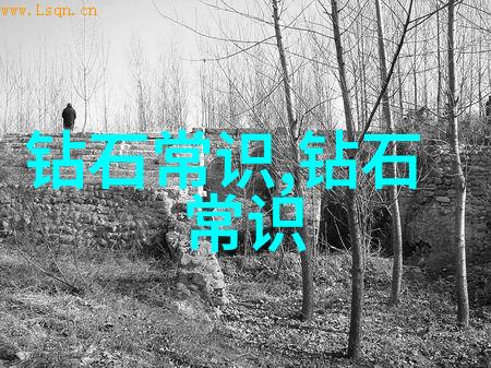 中国传统节日知识了解中国的五大传统节日