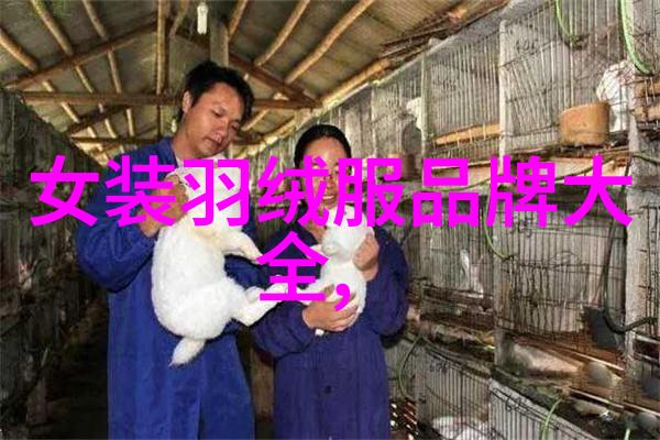 玉女心经探秘玉浦团的神秘力量