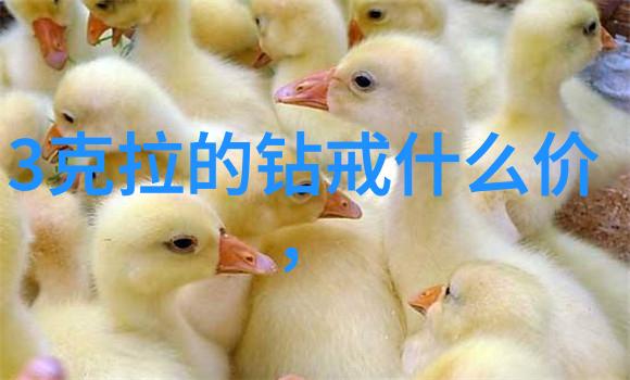 数学课代表趴下让我桶rh数学课代表的尴尬瞬间