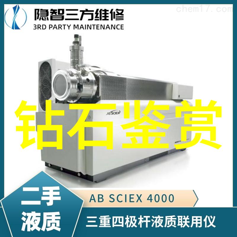 从零到英雄一位年轻人的梦想之路成为一名优秀的宠物美容师