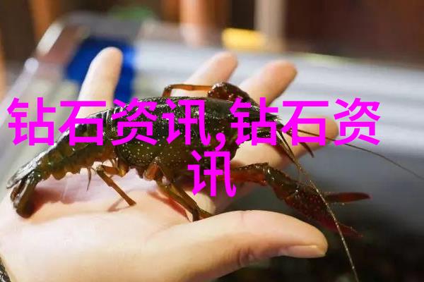 探索两岸文化的对话中西方价值观的交汇与冲突