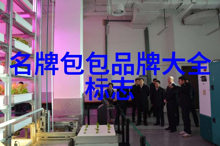 东陵玉和玉髓哪个值钱 - 宝藏对比东陵中的玉与玉髓价值分析