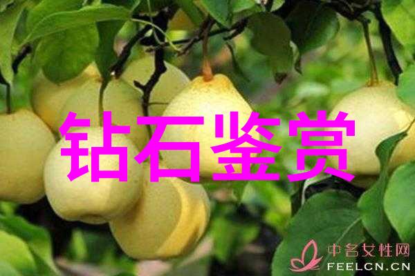 探索宝石世界-玉石之谜揭秘全世界的各种玉类