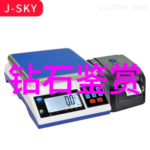 自制铁艺工艺品摆件图片大全 - 铸就美观探索自制铁艺装饰品的艺术魅力