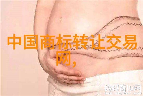 雷锋精神的小传解读一代青年志士的爱国主义情怀