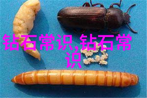 工艺美术纤节数码与泥土之韵相融的艺术奇迹