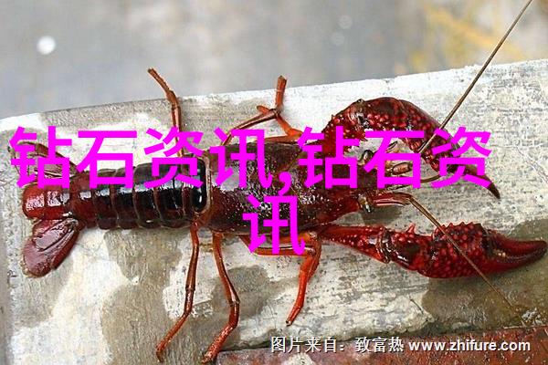 工商管理硕士课程中最有价值的技能是什么