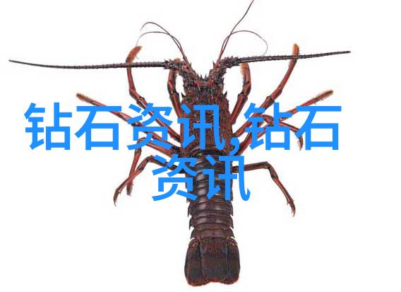 文明与文化的概念异同 - 揭秘文明与文化何为共存何为差异