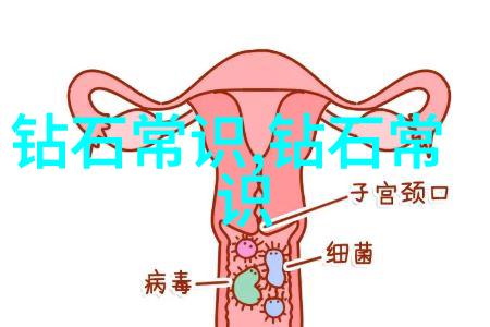 居家美学打造温馨舒适的居所